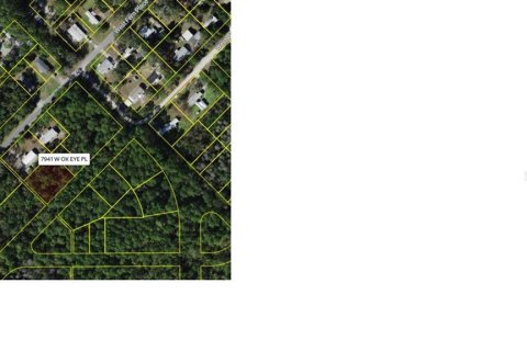 Terreno en venta en Homosassa, Florida № 2159552 - foto 5