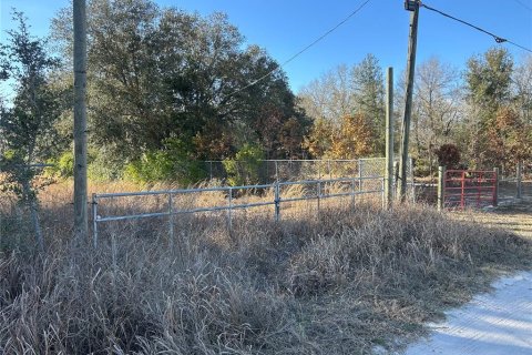 Land in Frostproof, Florida № 2118775