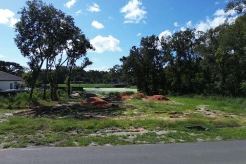 Terreno en venta en Orlando, Florida № 1919775 - foto 1
