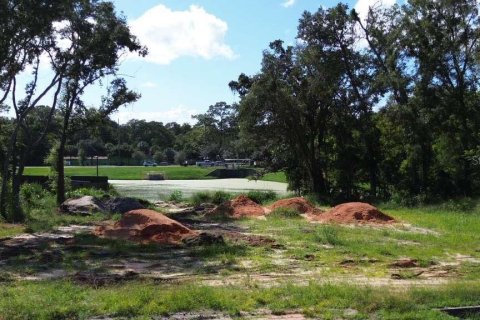 Terreno en venta en Orlando, Florida № 1919775 - foto 3