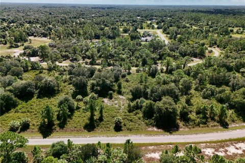 Land in North Port, Florida № 2395965 - photo 21