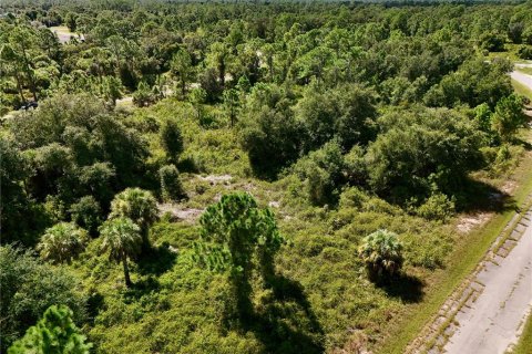 Land in North Port, Florida № 2395965 - photo 4