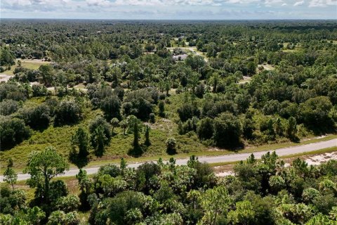 Land in North Port, Florida № 2395965 - photo 5