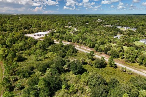 Land in North Port, Florida № 2395965 - photo 10