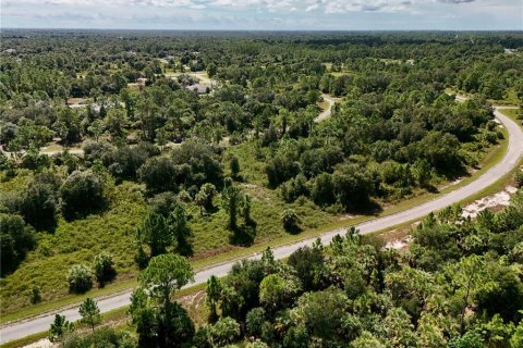Land in North Port, Florida № 2395965 - photo 6