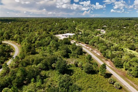 Land in North Port, Florida № 2395965 - photo 9