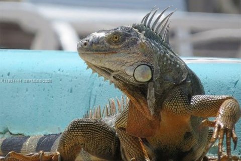 Adosado en alquiler en Homestead, Florida, 3 dormitorios, 155.7 m2 № 1992566 - foto 22