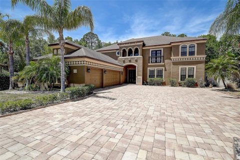 House in Land O' Lakes, Florida 6 bedrooms, 402.36 sq.m. № 1820587 - photo 6
