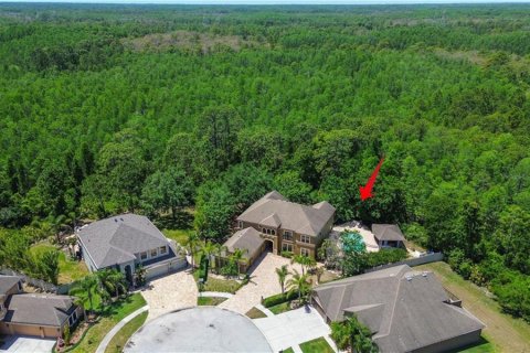 House in Land O' Lakes, Florida 6 bedrooms, 402.36 sq.m. № 1820587 - photo 1