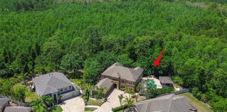 House in Land O' Lakes, Florida 6 bedrooms, 402.36 sq.m. № 1820587