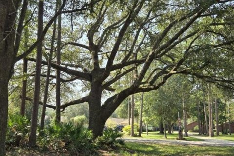 House in Middleburg, Florida 4 bedrooms, 217.3 sq.m. № 1907206 - photo 21