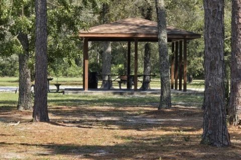 House in Middleburg, Florida 4 bedrooms, 217.3 sq.m. № 1907206 - photo 18