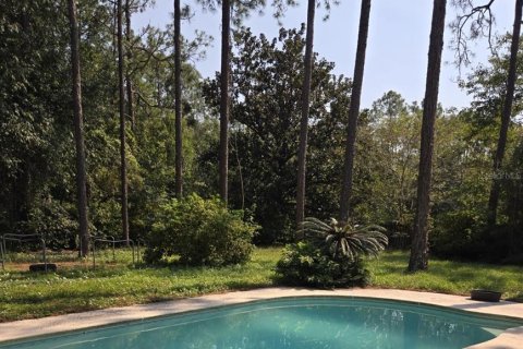 House in Middleburg, Florida 4 bedrooms, 217.3 sq.m. № 1907206 - photo 13