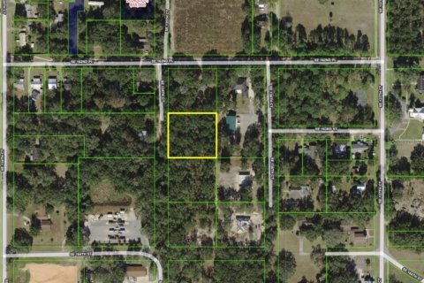 Land in Weirsdale, Florida № 2361525