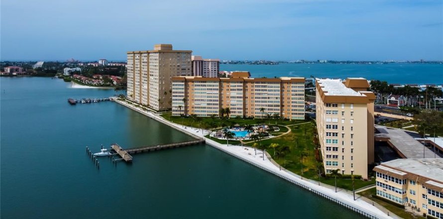 Condo à Saint Petersburg, Floride, 1 chambre № 2412623