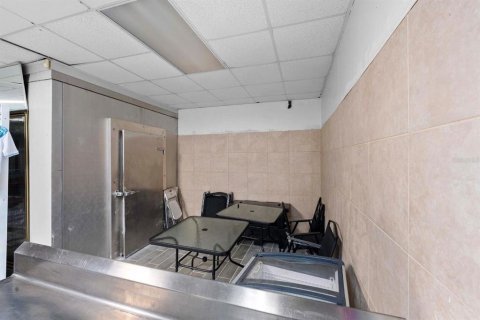 Immobilier commercial à vendre à Tampa, Floride: 483.18 m2 № 2195246 - photo 13