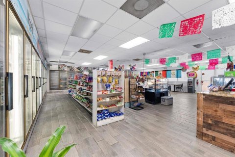 Immobilier commercial à vendre à Tampa, Floride: 483.18 m2 № 2195246 - photo 9