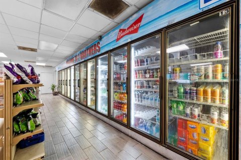 Immobilier commercial à vendre à Tampa, Floride: 483.18 m2 № 2195246 - photo 7
