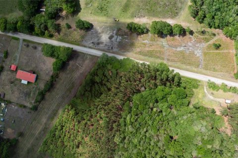 Land in Starke, Florida № 2258691 - photo 2