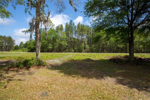 Land in Starke, Florida № 2258691 - photo 10