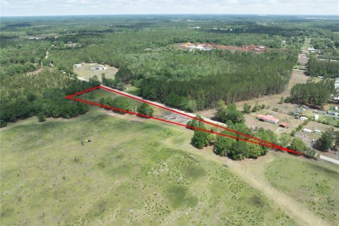 Land in Starke, Florida № 2258691 - photo 4