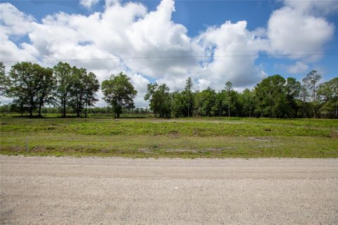 Land in Starke, Florida № 2258691 - photo 19