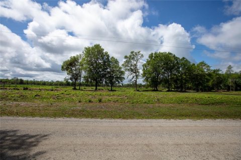 Land in Starke, Florida № 2258691 - photo 17