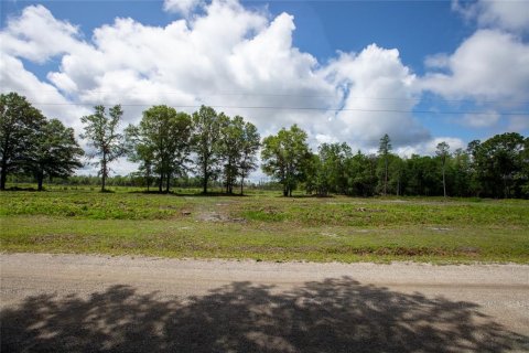 Land in Starke, Florida № 2258691 - photo 18