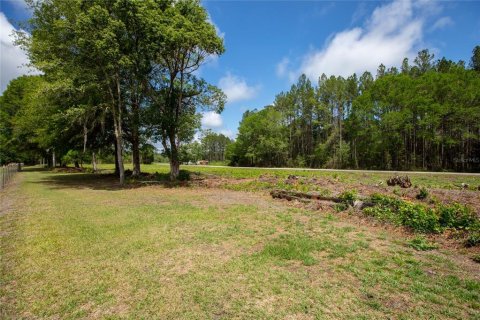 Land in Starke, Florida № 2258691 - photo 11