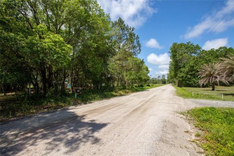 Land in Starke, Florida № 2258691 - photo 13