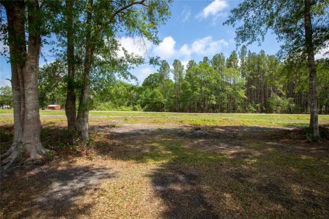 Land in Starke, Florida № 2258691 - photo 9