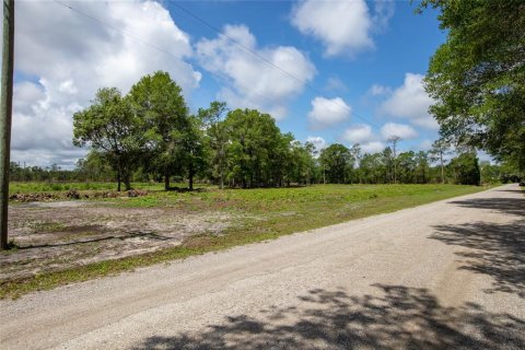 Land in Starke, Florida № 2258691 - photo 16