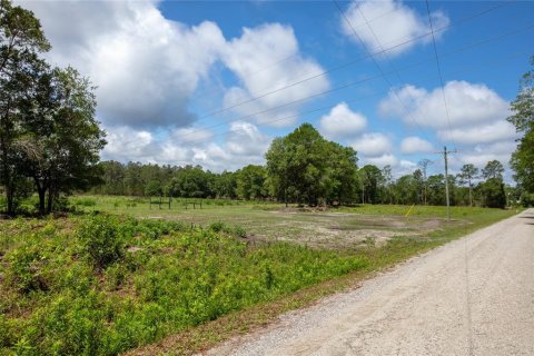Land in Starke, Florida № 2258691 - photo 15