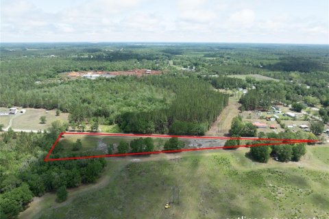 Land in Starke, Florida № 2258691 - photo 5