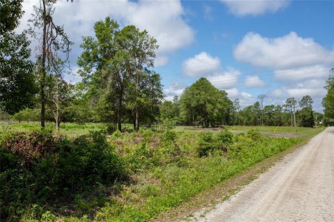 Land in Starke, Florida № 2258691 - photo 14
