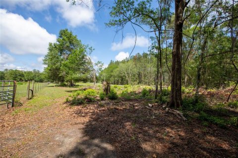 Land in Starke, Florida № 2258691 - photo 12