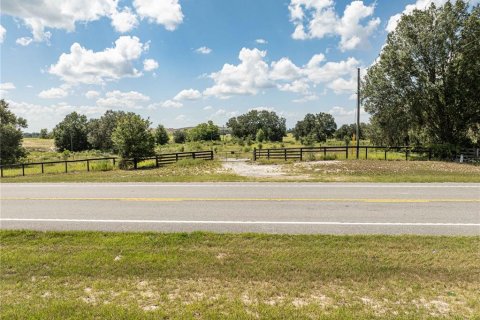 Land in Sumter, Florida № 2215190 - photo 5