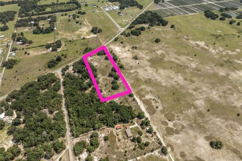Land in Sumter, Florida № 2215190 - photo 8