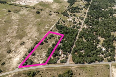 Land in Sumter, Florida № 2215190 - photo 4