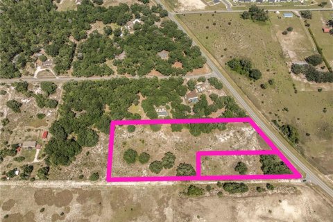 Land in Sumter, Florida № 2215190 - photo 3
