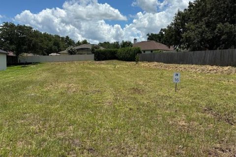 Terreno en venta en Clermont, Florida № 2106093 - foto 2