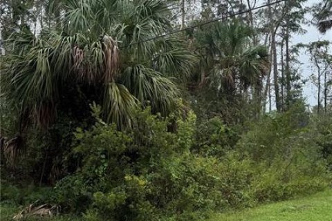 Terrain à vendre à Palm Coast, Floride № 1912487 - photo 4