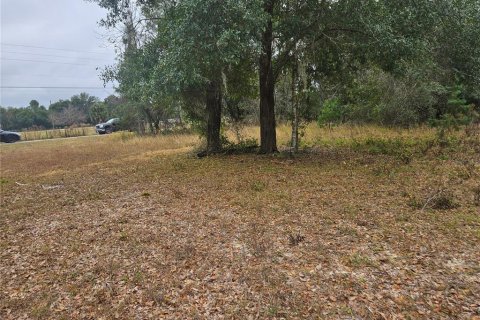 Terrain à Weirsdale, Floride № 2108370