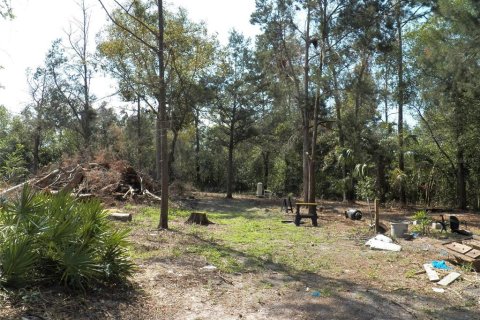 Land in Spring Hill, Florida № 1566490 - photo 8