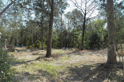 Land in Spring Hill, Florida № 1566490 - photo 2