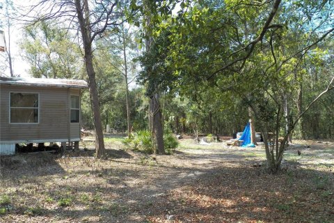 Land in Spring Hill, Florida № 1566490 - photo 7