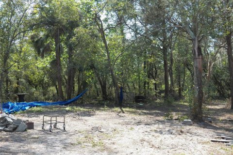 Land in Spring Hill, Florida № 1566490 - photo 15