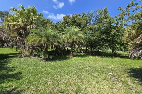 Villa ou maison à louer à Southwest Ranches, Floride: 4 chambres, 231.14 m2 № 2169603 - photo 19