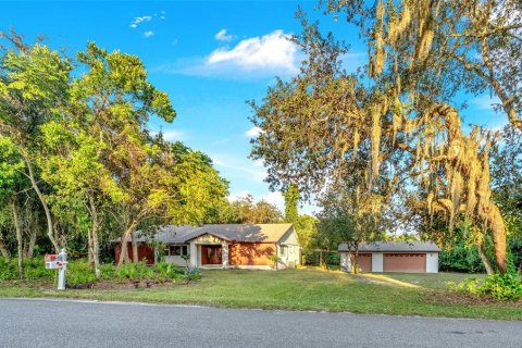 Villa ou maison à vendre à DeBary, Floride: 2 chambres, 173.91 m2 № 2399556 - photo 2
