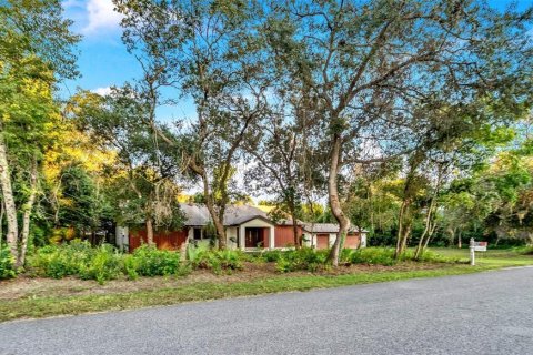 Villa ou maison à vendre à DeBary, Floride: 2 chambres, 173.91 m2 № 2399556 - photo 3